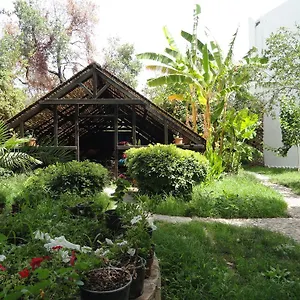Ece Veganhotel Bodrum Türkiye